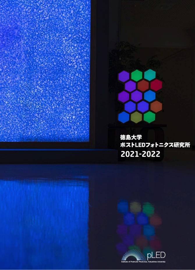 2021年度年次報告書