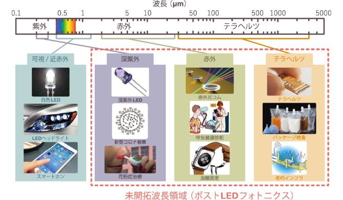 他の分野を専門にしたいけど、光科学も面白そう。なら…