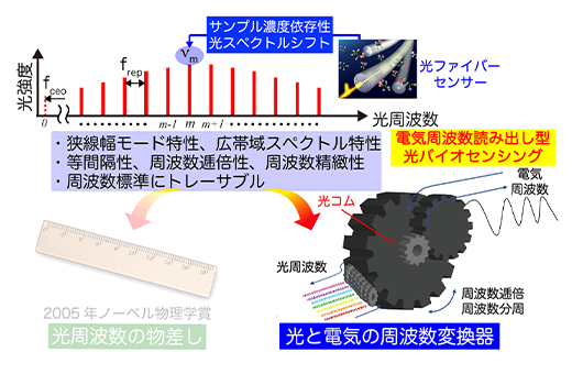 【ﾌﾟﾚｽﾘﾘｰｽ】デュアル光コムを用いた バイオセンシングに成功（世界初）　〜生体分子の高感度・迅速検出に期待〜