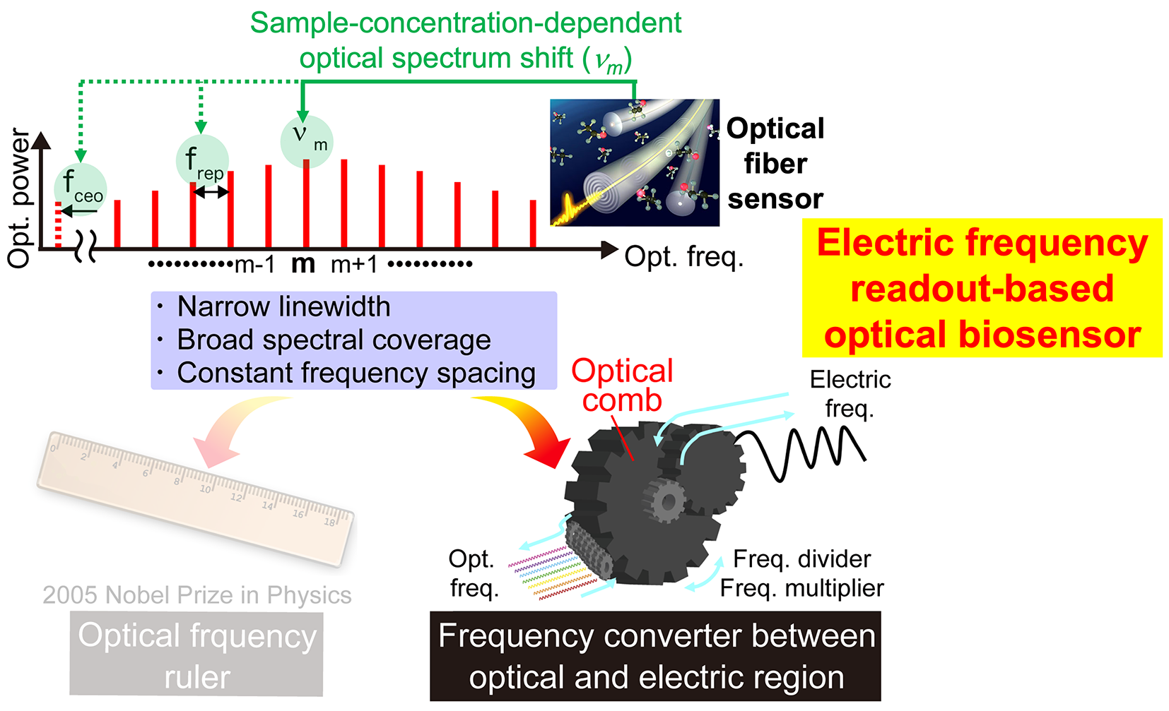 【Press Release】Successful optical biosensing using dual optical combs: High sensitivity and rapid detection of biomolecules with promising prospects